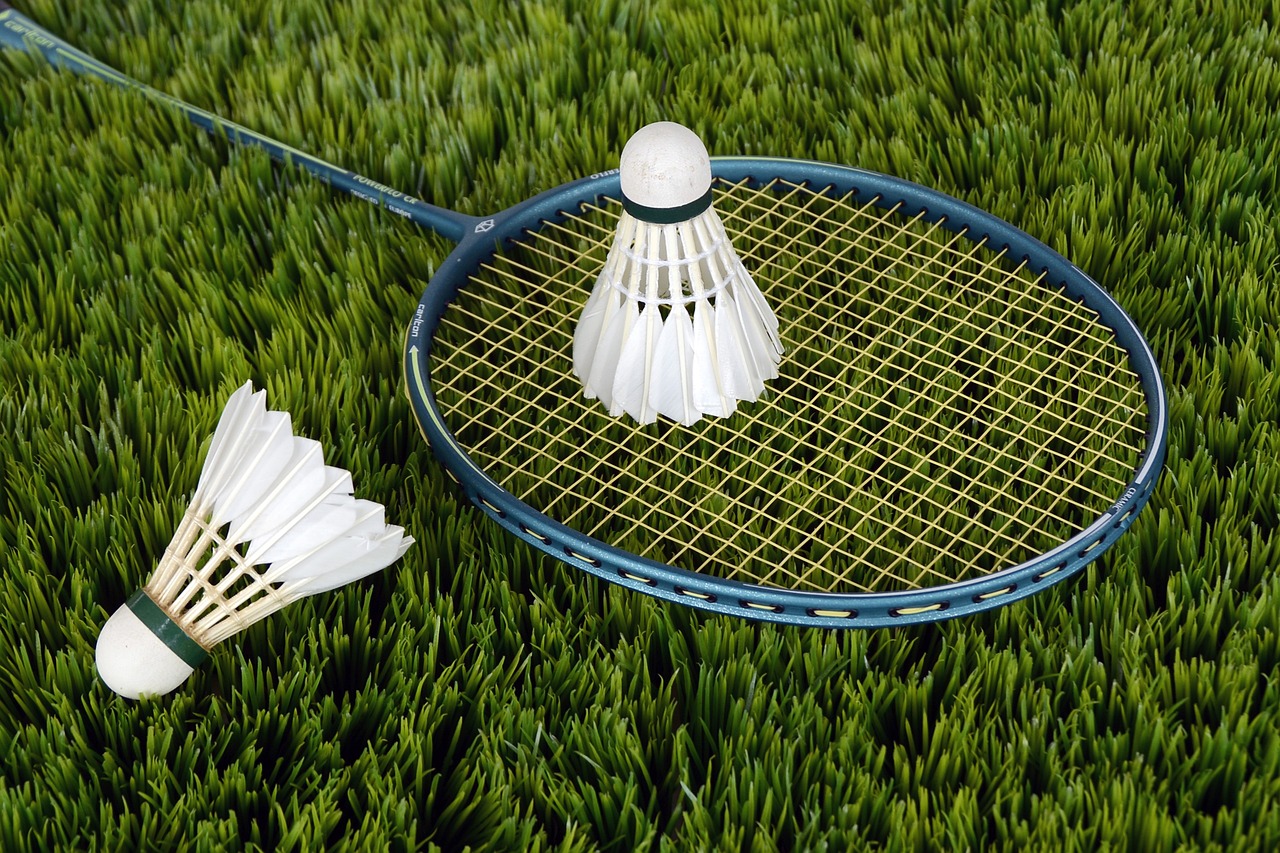 Introduction of badminton